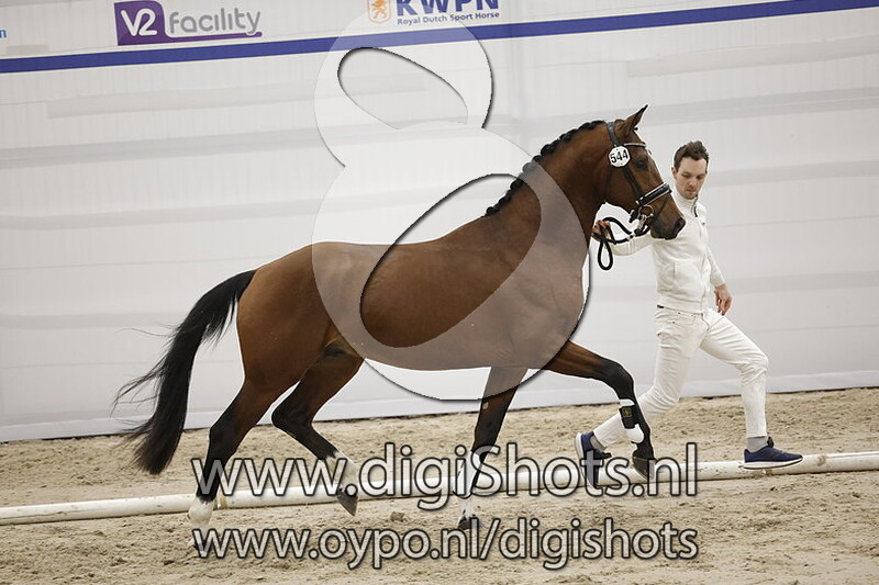 Palermo v. Valverde - 544