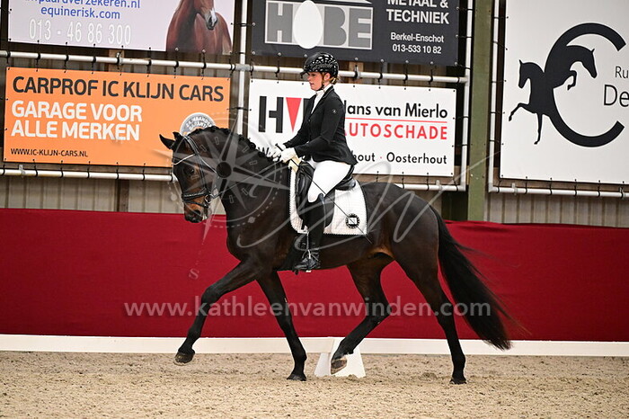 Britt van de Wout - Robinson D