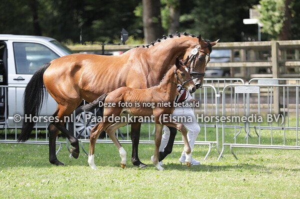 15 Vinio van de Klaverbron