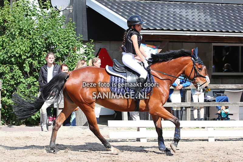 PV Midland Zomerconcours 02-07-2023 50-70 cm