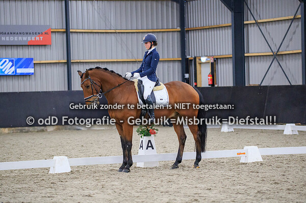 Dressuur PSV Nederweert Paarden M1 M2 12-12-21