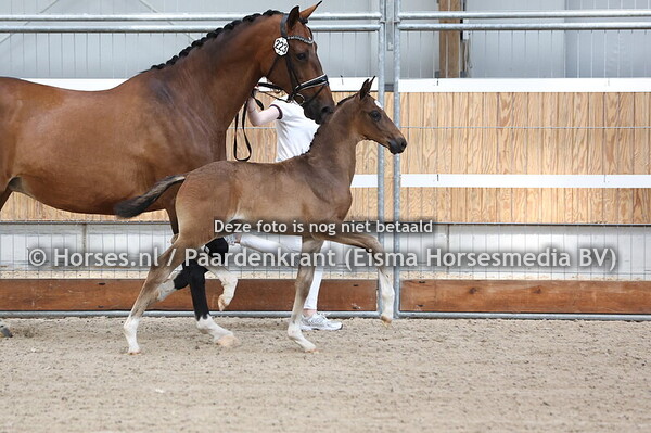 223 Val d'Isere Ave (Total US x Bormiek v. Tuschinski)