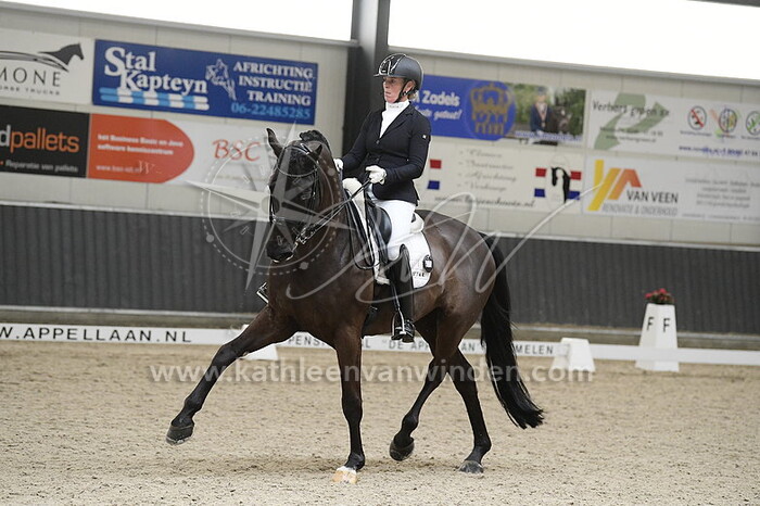 Margreet Prosman - Drogon