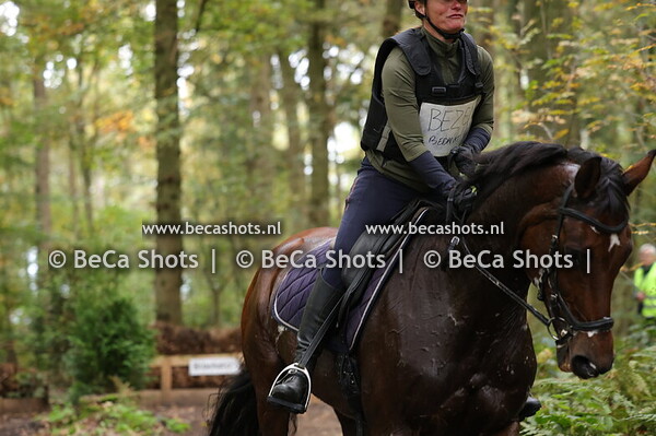 grote en kleine ronde