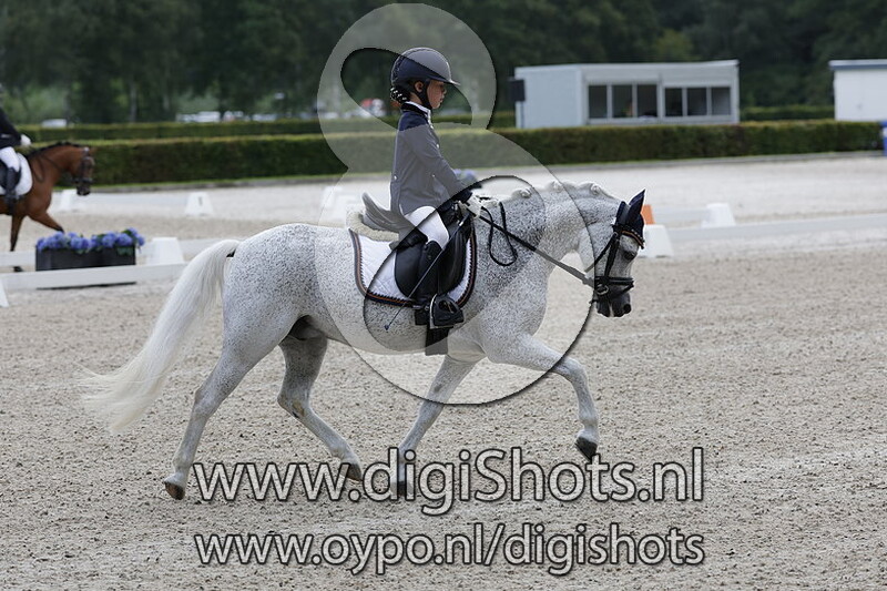 Ring 7 Klasse B cat AB
