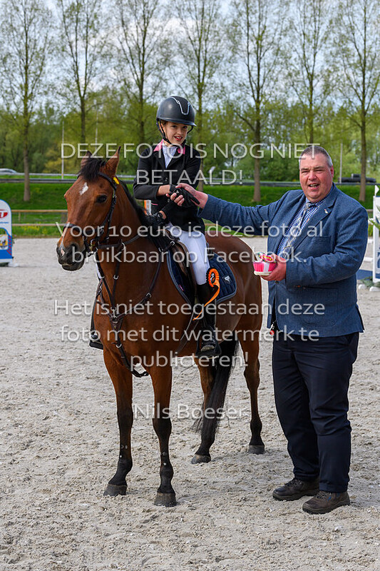 3 ponies klasse 80-90cm