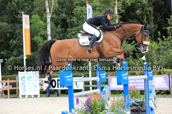 338 Ha-Cantos v Cantos