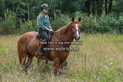 Rit Rekken Zwillbrock 18-6-2025