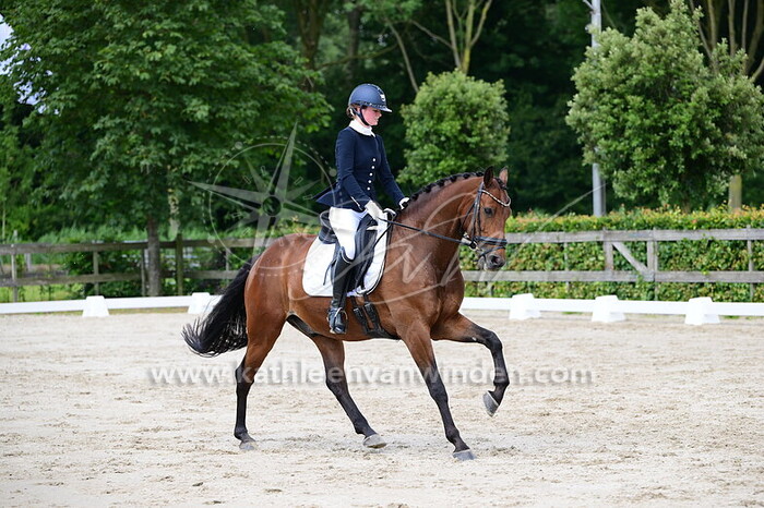 Marit Fransen - Larznik