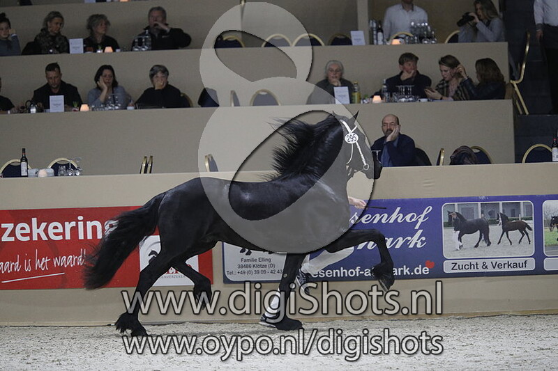 Falco C van de Wijdewormer