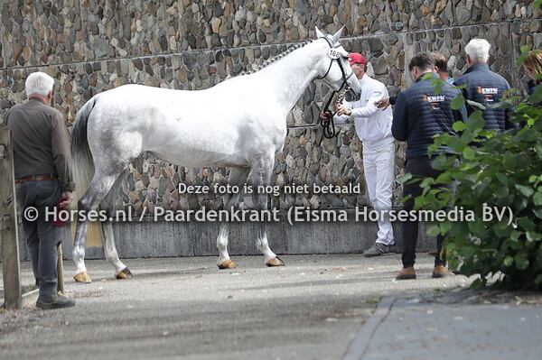 168 Marly (Casago x Zahna v. Cornet Obolensky)
