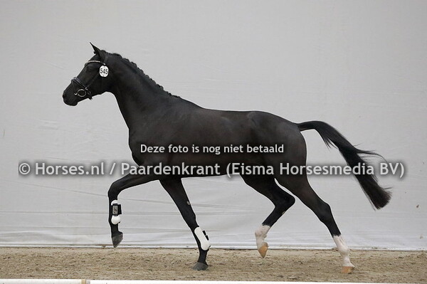 545 One to Remember  (Secret x Vivaldi)