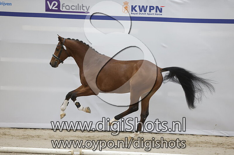 Patheon L.E. v. Hermes - 393