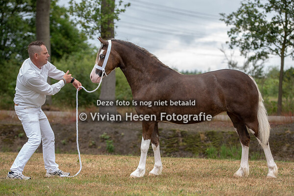 Regionale Keuring Assen