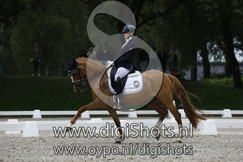 Ring 6 Z2 cat DE Kur op Muziek