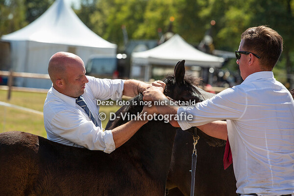 47. Isa van der Berkenheg