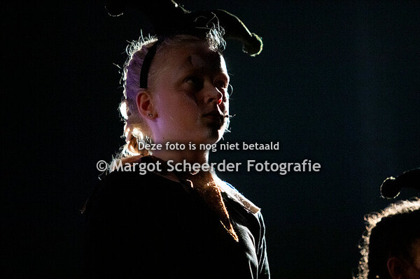 12. De Narren – Het Lied van de Narren