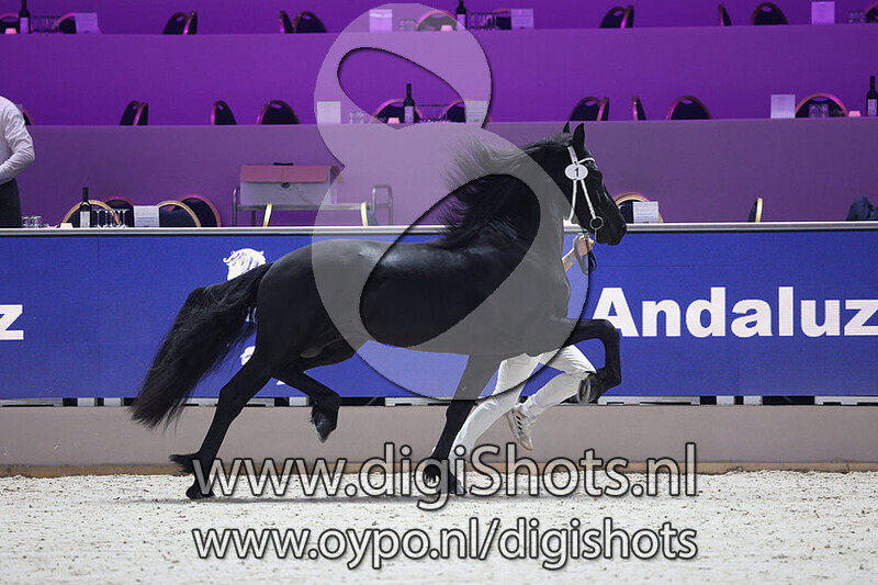 Pracht fan Friesburg v. Fonger 478