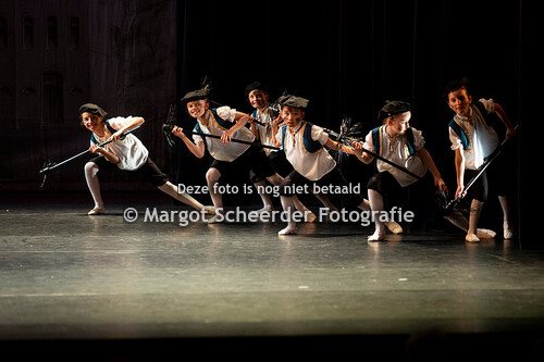 24 schoorsteenvegers