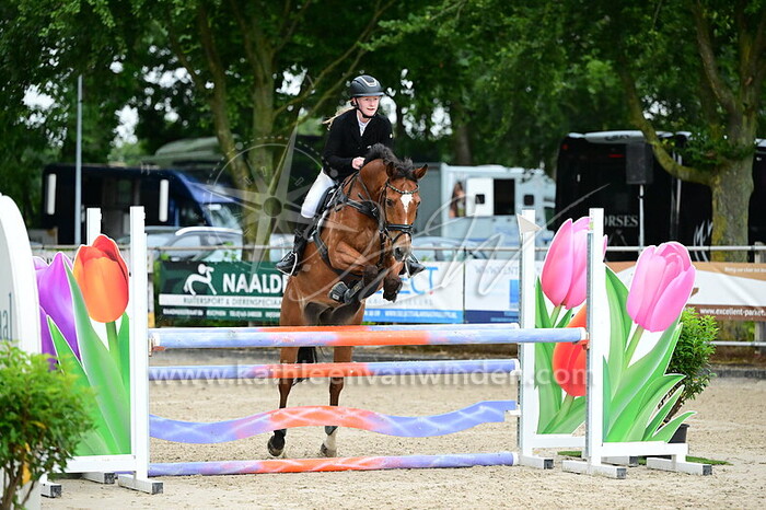 Caroline Breure - Aalbrinkhoeve's Cindy