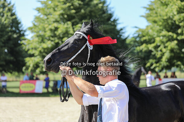 Rubriek 6 A Premiekeuring 3 jarigen