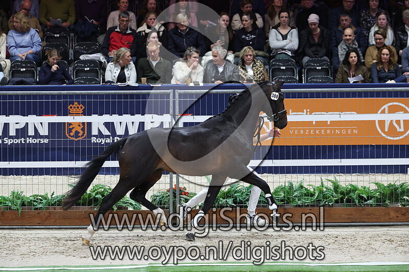 Silverstone v. Jovian