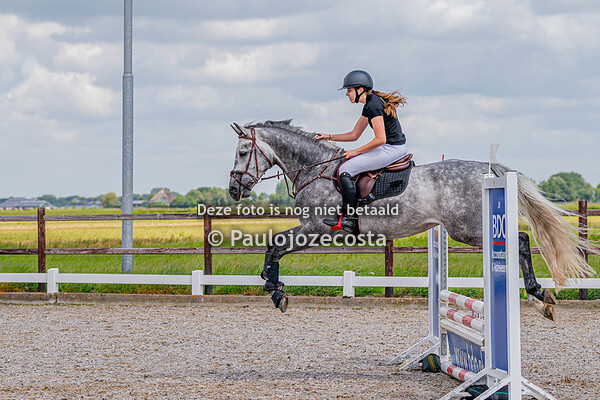 Beemster Ruiters Paard 80cm