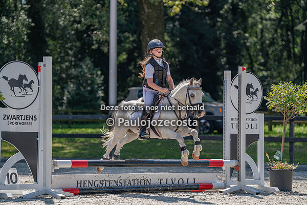 Galoppade 2024 40cm Ponys