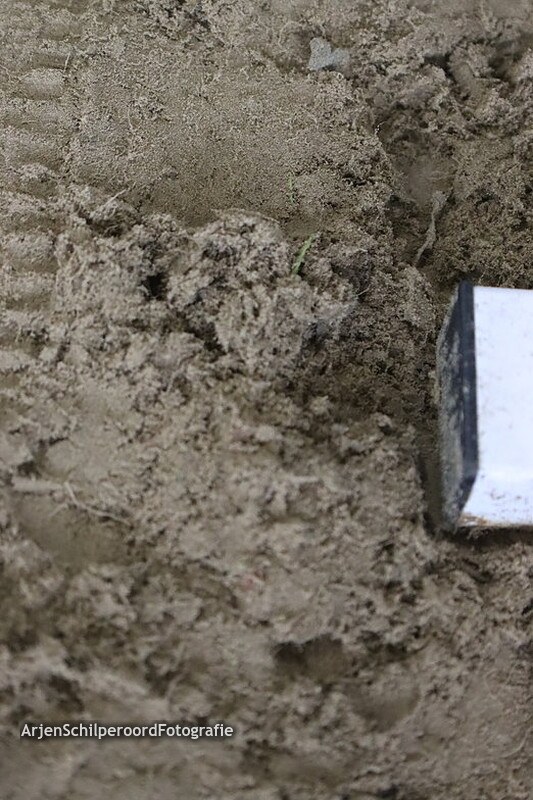 Friese Indoor Kampioenschappen 18-02-2023 Prijsuitreiking 120 - 140cm