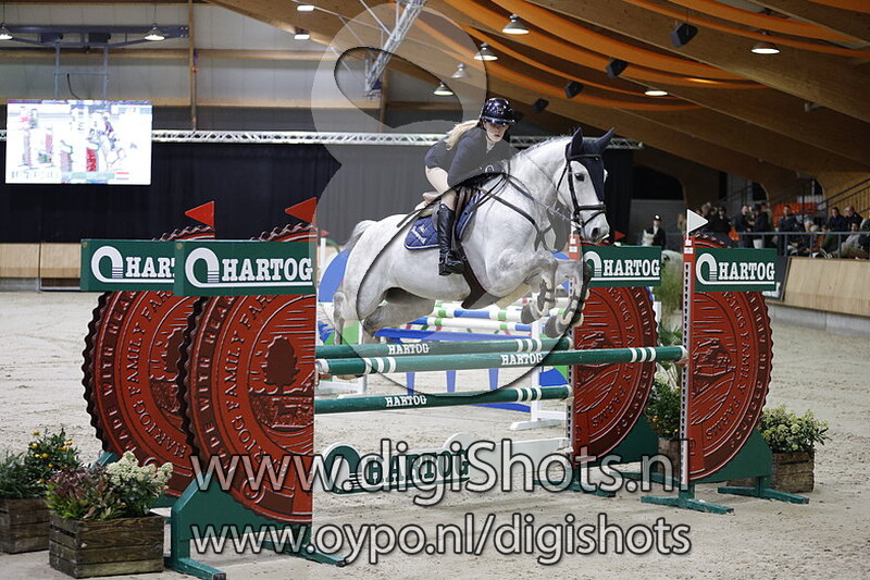 Landheer ten Busschelyn