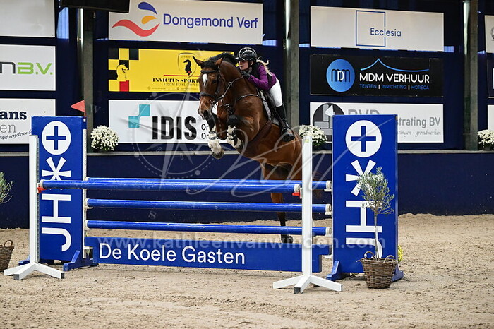 Izzy Waldman - Hipica