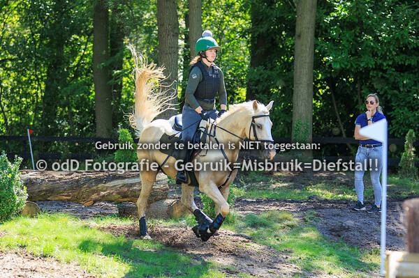 Training Margo van Nijnatten Millstream Groep 4 14.30 09-08-23
