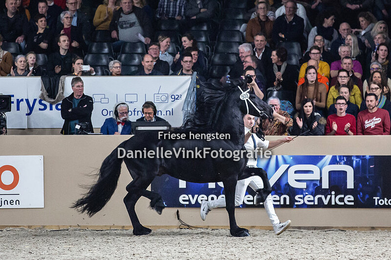 Hengstenkeuring 2020 Tymen 503