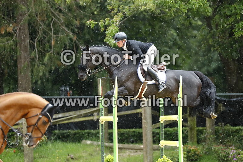 dennis van den brink