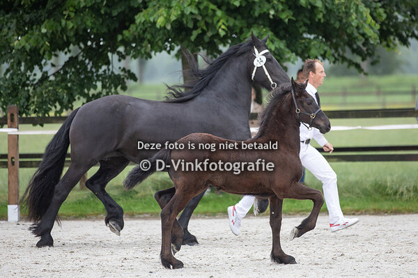 14. Romina van de Warande