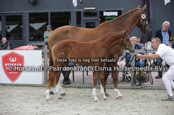 60 Prada Ceroon JK (For Ferrero x Inomi Ceroonv. Cover Story)