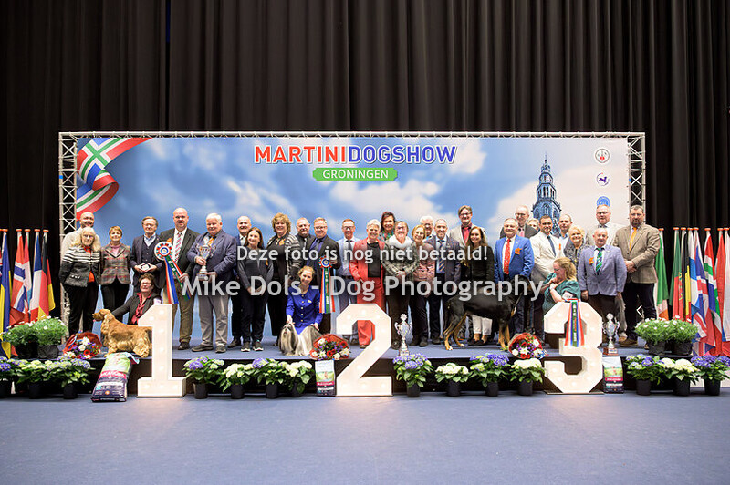 Martini Dogshow Zaterdag