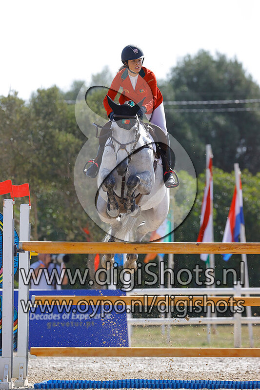 Forestelle des Cinq Chene