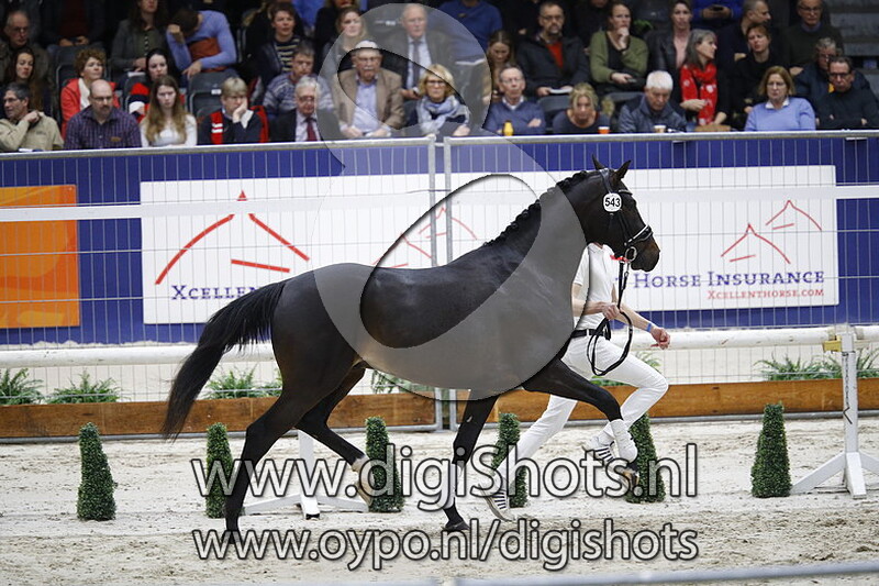 Lugano GLN v. Trafalgar