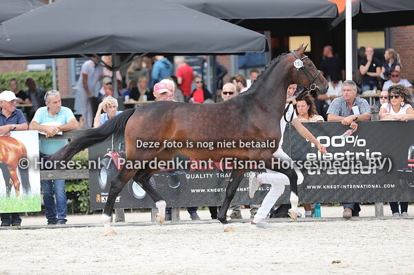 153 Odette Frank VDL