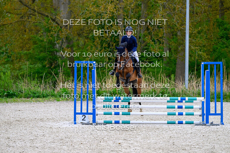 6 Klasse 80cm paarden