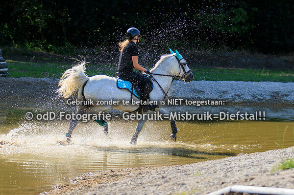 Training Margo van Nijnatten Millstream Groep 6 16.15 26-07-23