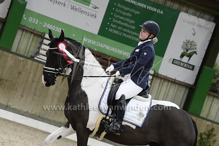 Daisy Koelewijn - Colorful Joy
