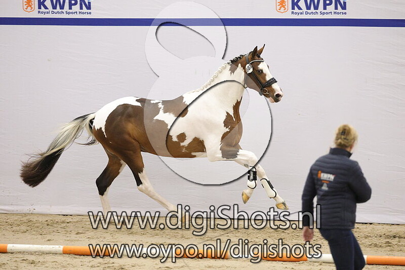 Triple Colours van de Rheehoeve