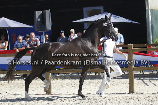 134 Kiss Me Set v Fellini