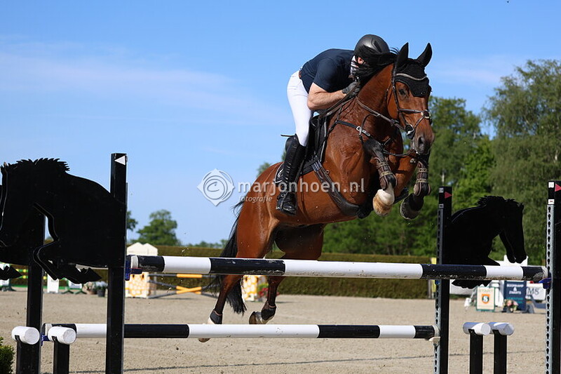203_DENEKAMP_BERGenDAL_1.20en1.30_10MEI2025