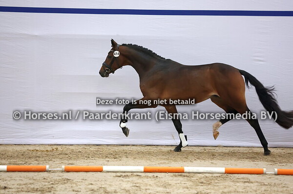 414 Jovian x Rohdiamant)