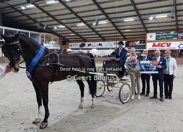 Noordelijke tuigpaarden dag Exloo 2024