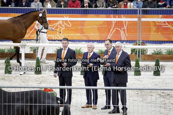 8e groep dressuur vrijdag 1 feb 2019