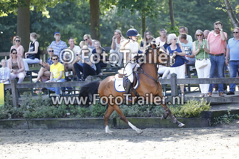 Rubriek 71B Klasse L Cat. D